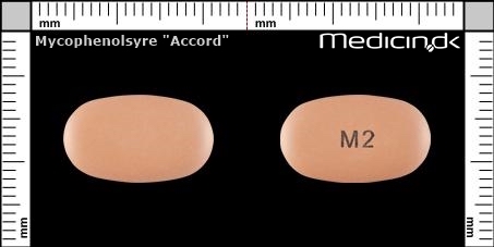 MycofenolsyraAccord pilla
